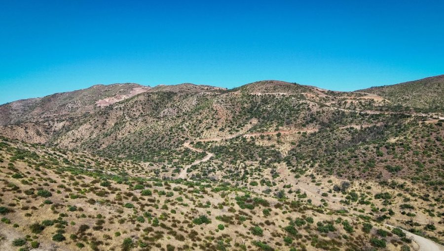DGA aplica millonaria multa a Minera Colliguay por cuestionado proyecto La Carmelita