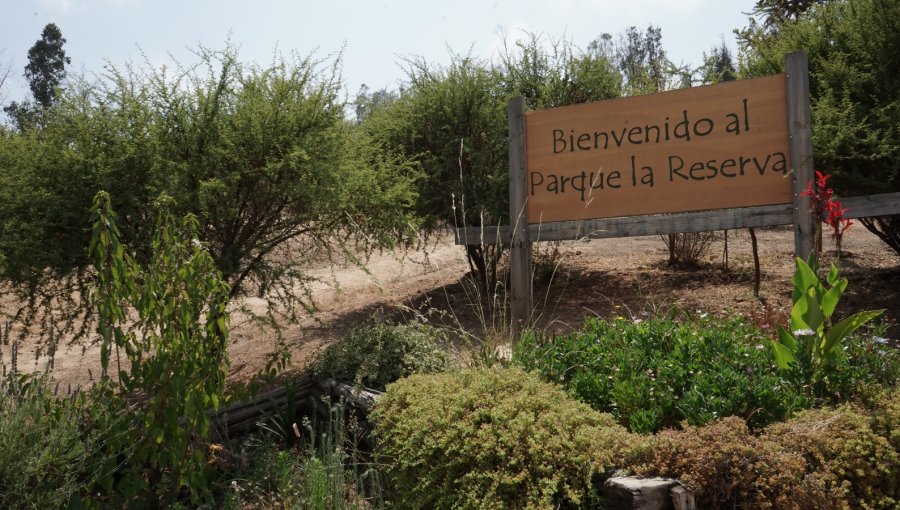 Villa Alemana evalúa opción de leaseback en el Parque La Reserva para cubrir el descalabro financiero en la Corporación Municipal