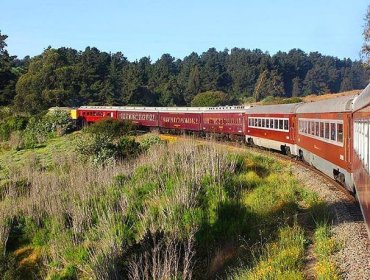 ¡Histórico! El tren de pasajeros regresa a Los Andes tras 30 años