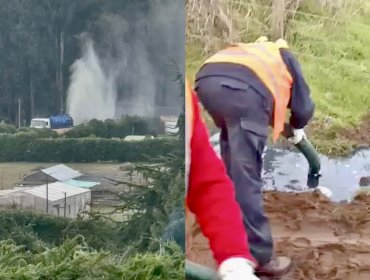 Indignación en Quintero por nuevo derrame de hidrocarburos: filtración de diésel amenaza al estero y al humedal de Mantagua