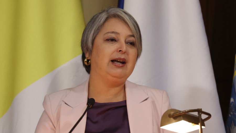 Integrante del equipo económico de Jara dice que los "retiros fueron perjudiciales" y afirma que la candidata no recurrirá a esa vía