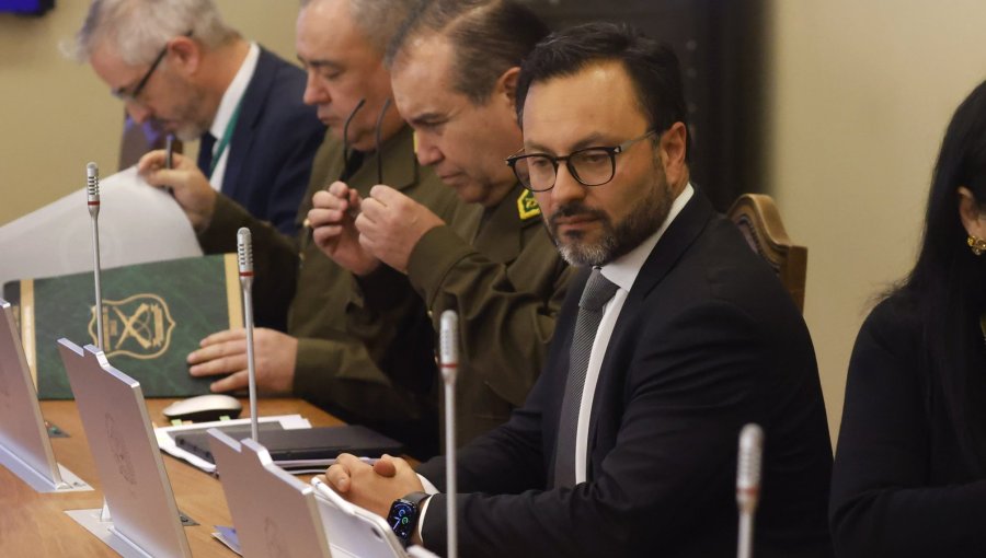Subsecretario de Seguridad Pública defendió ante comisión los sueldos y perfiles profesionales de funcionarios del Ministerio