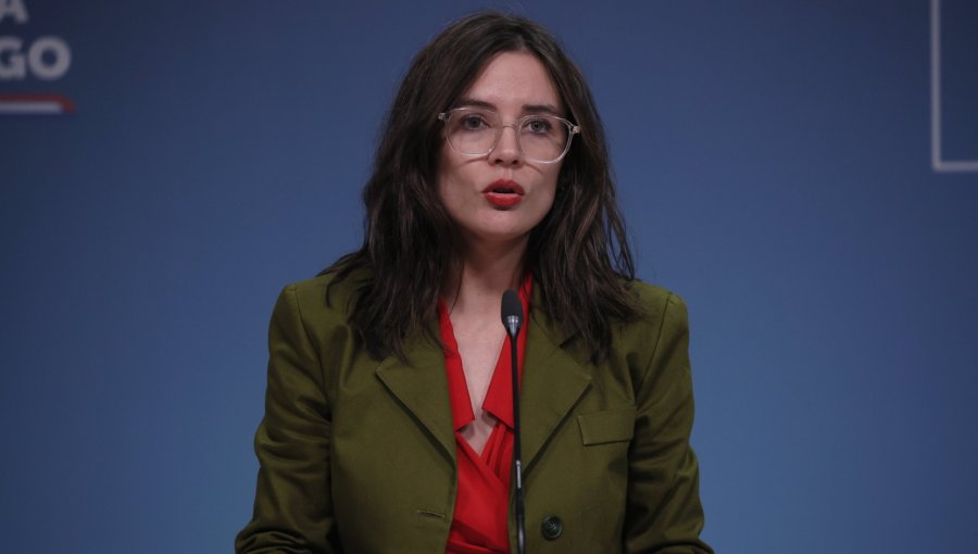 Diputados de la UDI denunciarán a la ministra Vallejo ante Contraloría por "defensa explícita" a Jara