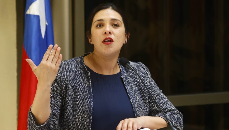 Cariola responde a dichos de Frei por respaldo de la DC a Jara: "En su última campaña, no tuvo problemas en que el PC lo apoyara"