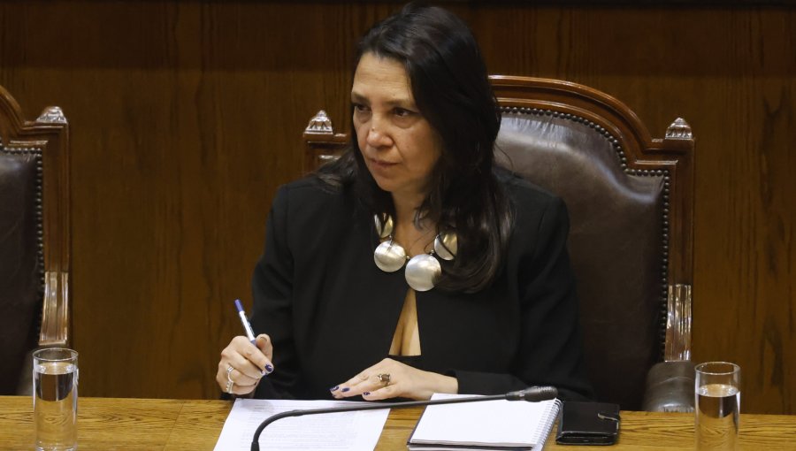 Ministra secretaria general de la Presidencia por voto extranjero: "No nos parece que esto tenga que ver con calculadora"