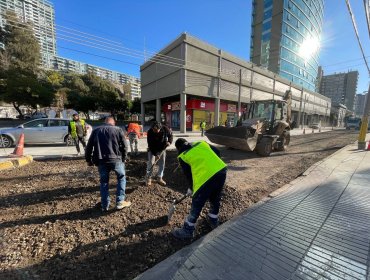 Intensifican plan de bacheo en calles afectadas por el último sistema frontal en Viña del Mar