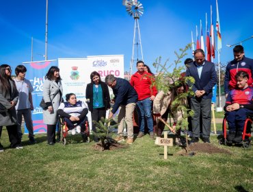 Plantan araucarias en Villa Alemana a 90 días del inicio de los Juegos Parapanamericanos Juveniles 2025