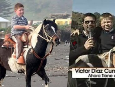 'Zafrada' anuncia la muerte de 'Dominó', el querido caballo que le regaló Felipe Camiroaga tras el terremoto de 2010