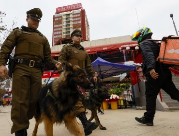 «Denuncia Seguro» informa 1.412 reportes en la V Región: 1.340 de ellas fueron presentadas ante el Ministerio Público