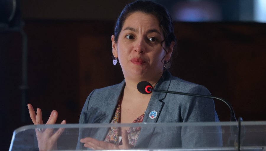 Ministra Toro asegura que no comparte la decisión del Frente Amplio de dejar fuera a Gustavo Gatica de la candidatura al Congreso