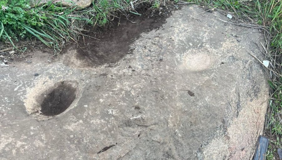Hallazgo arqueológico en Llolleo: Descubren inédita piedra tacita de la cultura prehispánica y piden su protección urgente