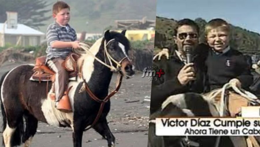 'Zafrada' anuncia la muerte de 'Dominó', el querido caballo que le regaló Felipe Camiroaga tras el terremoto de 2010