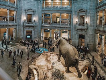 Gobierno de EE.UU. impulsa revisión de contenidos en museos Smithsonian para reflejar unidad nacional