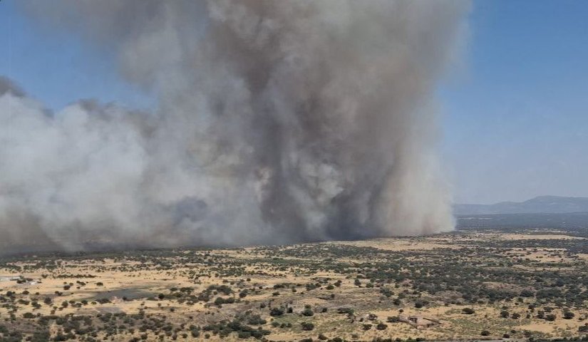 Más de 115 mil hectáreas se han quemado en España en ola de incendios de agosto, casi el triple que durante el resto del año