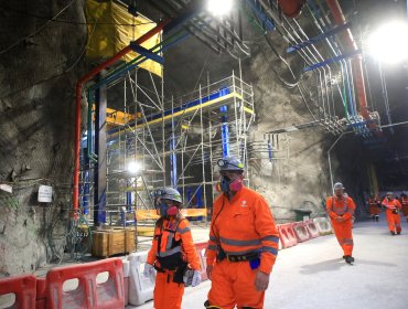 Nuevo incidente en la División El Teniente de Codelco: Trabajador resulta con lesiones tras caer a un molino en mantención