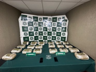Incautan cerca de 70 kilos de droga en operativos en Viña del Mar y Nogales: Cinco personas fueron detenidas