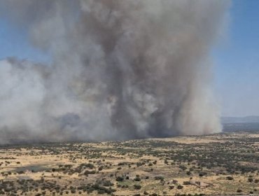Más de 115 mil hectáreas se han quemado en España en ola de incendios de agosto, casi el triple que durante el resto del año