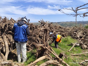 Superintendencia formula cargos contra proyecto de concesión del «Camino de La Fruta» por incumplimientos ambientales