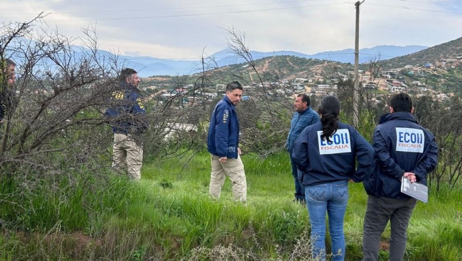 Fiscalía confirma que identificación del cráneo hallado en Limache tardará "varias semanas": no se han encontrado otros restos