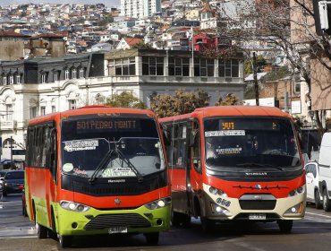 Conductores de micros vuelven a amenazar con un paro en el Gran Valparaíso: denuncian deudas asociadas al subsidio