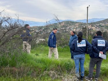 Fiscalía confirma que identificación del cráneo hallado en Limache tardará "varias semanas": no se han encontrado otros restos