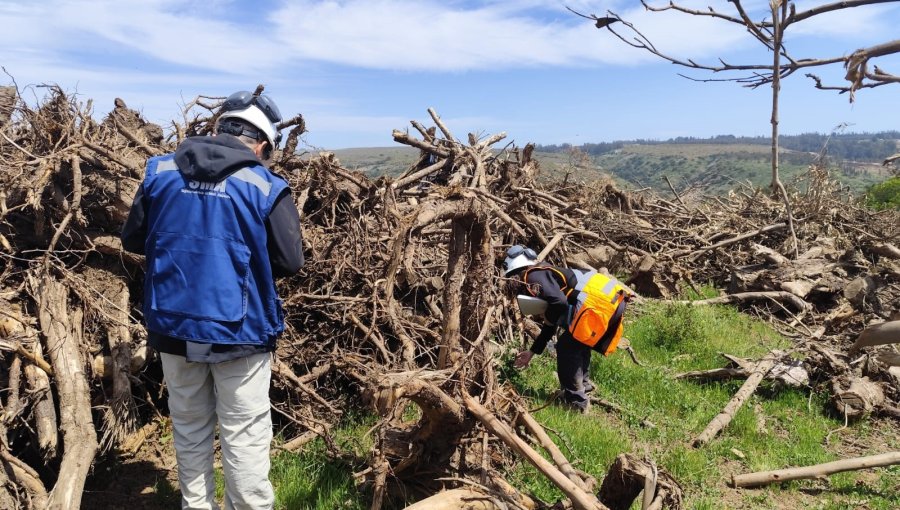 Superintendencia formula cargos contra proyecto de concesión del «Camino de La Fruta» por incumplimientos ambientales