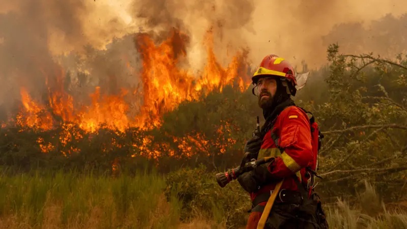 Cuatro claves para entender la histórica ola de incendios que golpea a España y que va camino a batir récords de destrucción