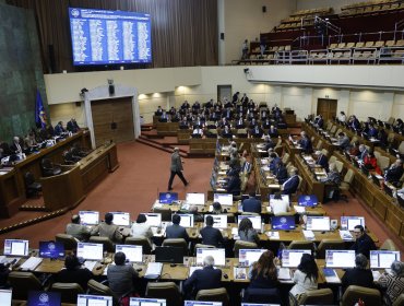 Luz verde al test de pelo: Cámara aprueba proyecto que fiscalizará consumo de drogas en autoridades