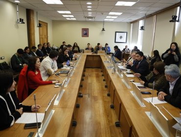 Comisión de la Cámara despacha proyecto que fija multas por no votar: Se convocará sesión especial para votarlo en Sala