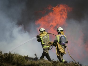 WWF alerta que este 2025 podría ser el año con más hectáreas quemadas del siglo XXI en España