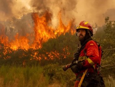 Cuatro claves para entender la histórica ola de incendios que golpea a España y que va camino a batir récords de destrucción
