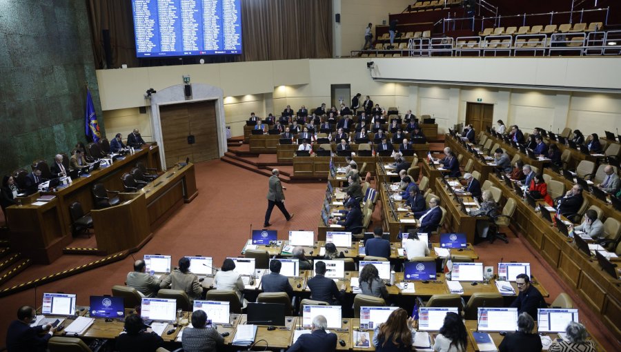Luz verde al test de pelo: Cámara aprueba proyecto que fiscalizará consumo de drogas en autoridades