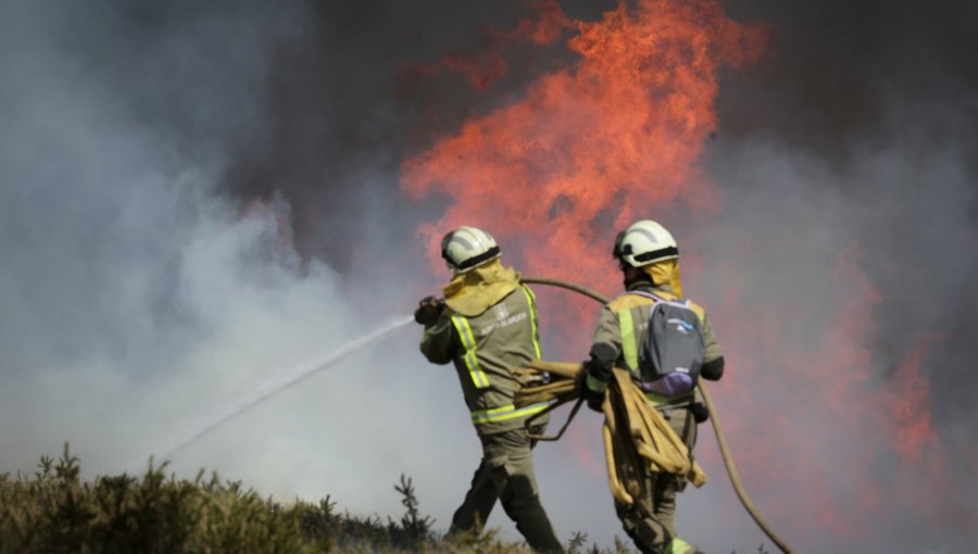 WWF alerta que este 2025 podría ser el año con más hectáreas quemadas del siglo XXI en España
