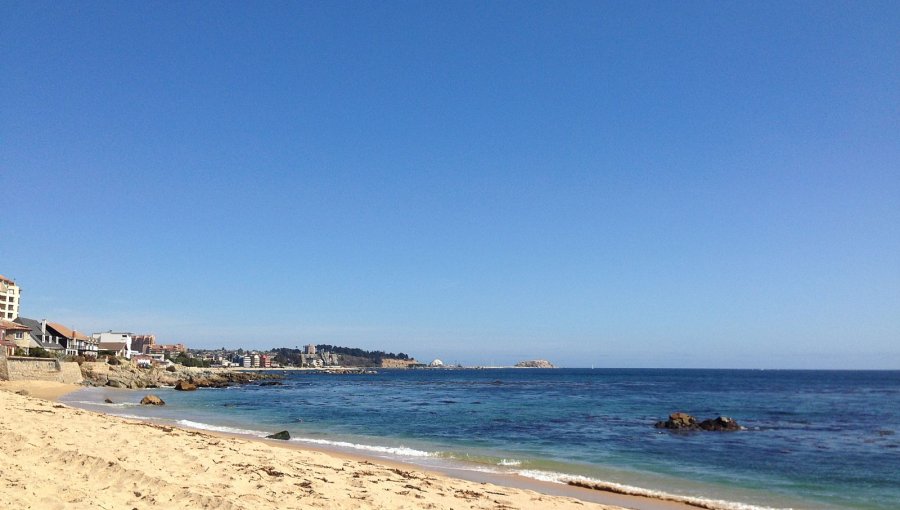 Observatorio Costero UC advierte que playas como Reñaca y Algarrobo están en riesgo de desaparecer.