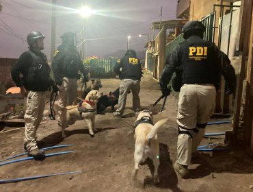 Formalizan a 22 imputados por trata de personas con fines de explotación sexual en Antofagasta