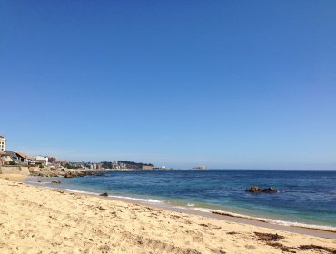 Observatorio Costero UC advierte que playas como Reñaca y Algarrobo están en riesgo de desaparecer.