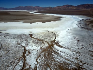 SQM registró el pago más bajo al Fisco en 4 años tras caída en el precio del litio: disminuyó sus ingresos casi en un 22%
