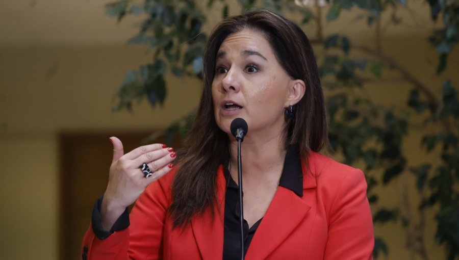 Por incidentes en Argentina: Canciller (s) dice que la prioridad es "garantizar que todos nuestros connacionales puedan volver"