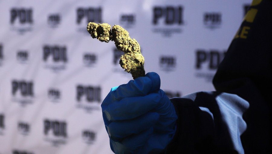 Caen dos venezolanos que mantenían un punto de venta de drogas en la intersección de Av. San Martín con 6 Norte en Viña del Mar