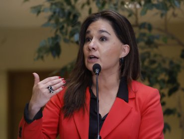 Por incidentes en Argentina: Canciller (s) dice que la prioridad es "garantizar que todos nuestros connacionales puedan volver"