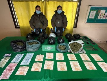Detienen en Petorca a dos personas por tráfico de drogas: Sujeto aprehendido estaba prófugo de la justicia