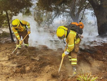 Conaf abre postulaciones para conformar brigadas de combate de incendios forestales en la región de Valparaíso