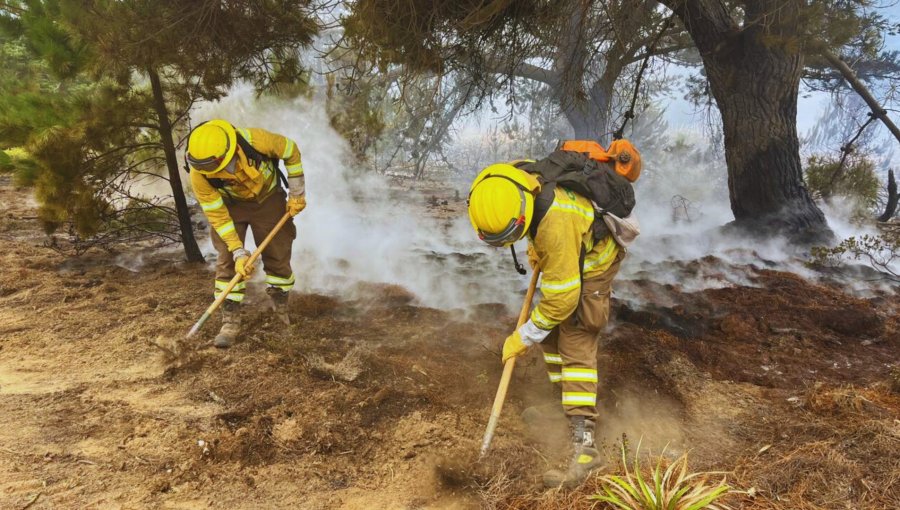 Conaf abre postulaciones para conformar brigadas de combate de incendios forestales en la región de Valparaíso