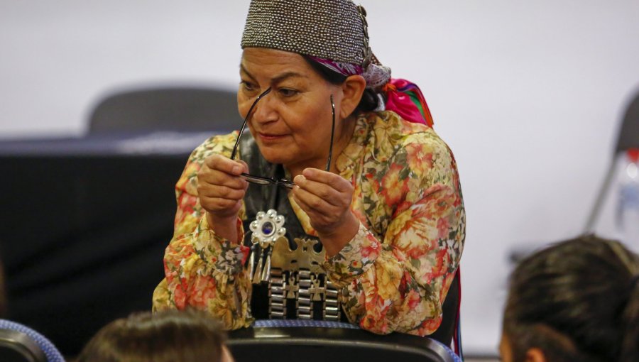 Elisa Loncon llamó al Gobierno a detener consulta de la Comisión para la Paz por considerar que no hubo participación del pueblo mapuche