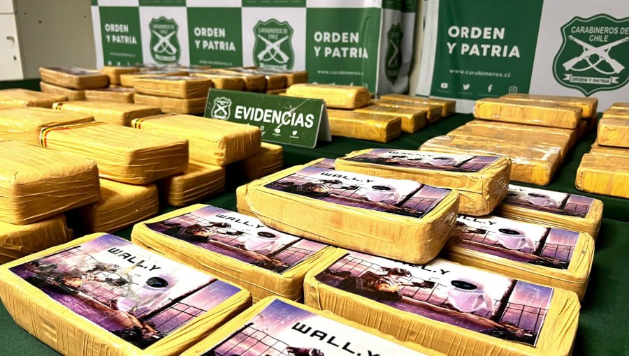 Operativo antidrogas entre Los Vilos y Santiago permite decomisar más de 90 kilos de clorhidrato de cocaína y pasta base