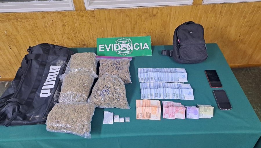 Detienen a una pareja luego de chocar contra un árbol tras eludir control policial en Paillaco: lanzaron un bolso con droga