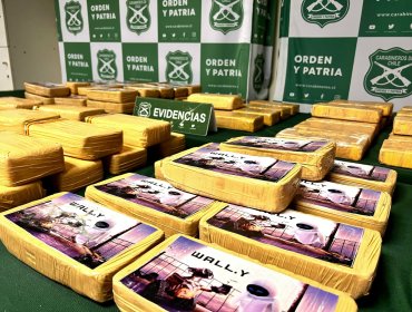 Operativo antidrogas entre Los Vilos y Santiago permite decomisar más de 90 kilos de clorhidrato de cocaína y pasta base