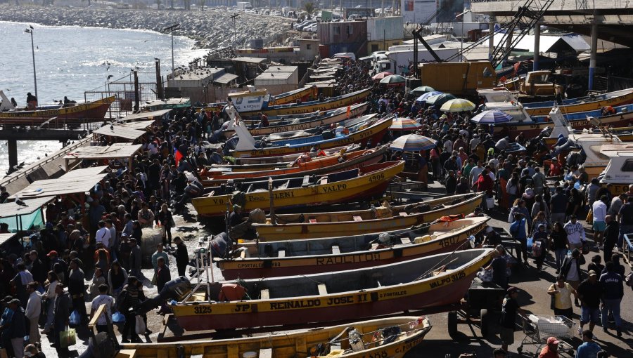 Diputado Lagomarsino denuncia comercio ilegal y prestamistas en inmediaciones de la Caleta Portales de Valparaíso