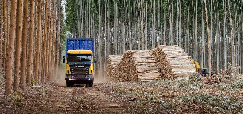 Pese a la presencia de las FFAA, gremio de conductores forestales denuncia que la violencia en la Macrozona Sur no ha cesado