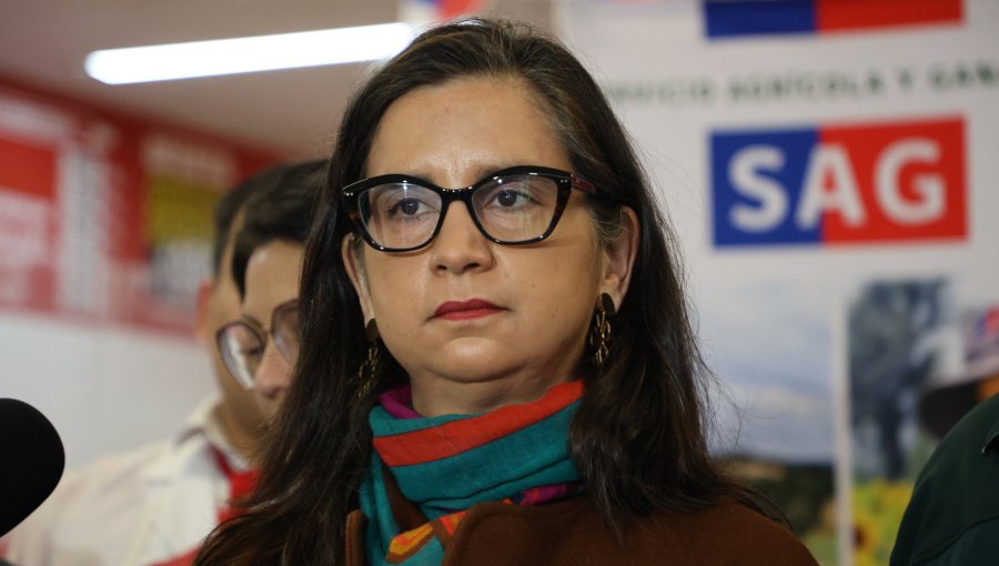 Ministra de Agricultura dice que "lo sacamos barato" con los aranceles de Trump, pero advierte preocupación en exportadores